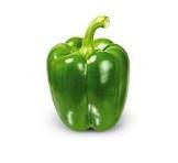 capsicum