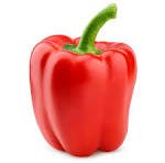 capsicum