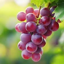 grapes